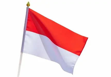 Banderas personalizadas