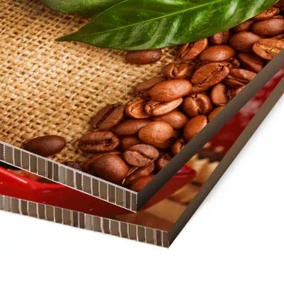 Cartón 19 mm (Panal)